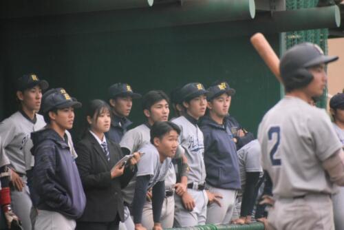 LINE ALBUM 231008 秋季リーグ戦vs帝京平成大学② 240923 1