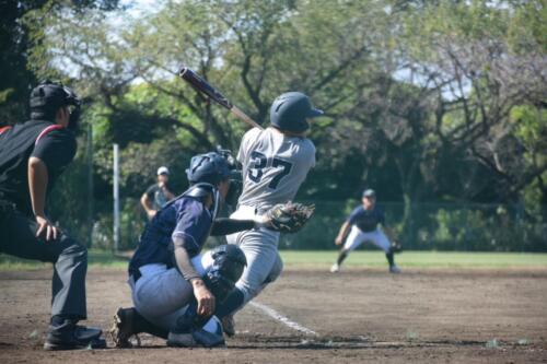 LINE ALBUM 241012 秋季リーグ戦vs東京都市大学2-➀ 241013 21