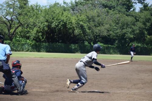 LINE_ALBUM_250802 夏季オープン戦 vs 東京学芸大学_250803_7