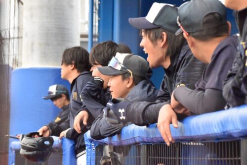 LINE ALBUM 260311 春季オープン戦vs帝京平成大学 260313 2