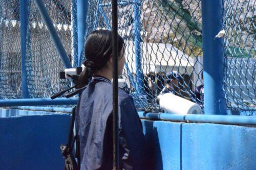 LINE ALBUM 260329 春季オープン戦VS玉川大学 260330 17