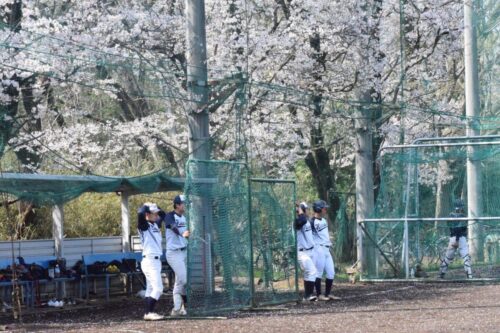 LINE ALBUM 260329 春季オープン戦VS玉川大学 260330 18