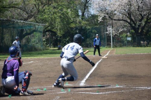 LINE ALBUM 260411 春季リーグ戦vs大正大学① 260411 16