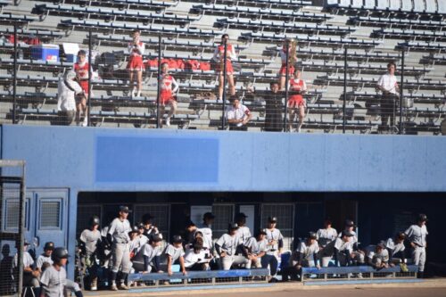 LINE ALBUM 260825 旧三商大戦VS大阪公立大学 260828 8